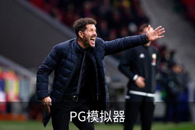 PG模拟器公司简介图片